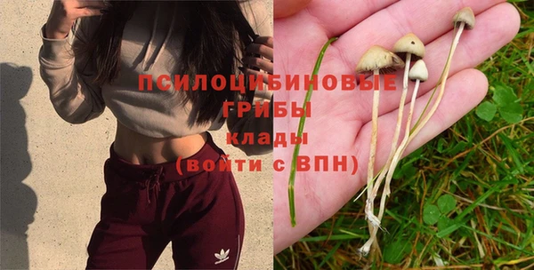 PSILOCYBIN Алексеевка