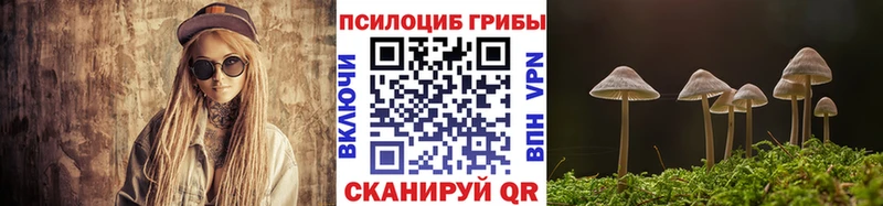 закладки Орехово-Зуево Псилоцибиновые грибы Magic Shrooms